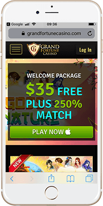 Grand Fortune Casino - 522111